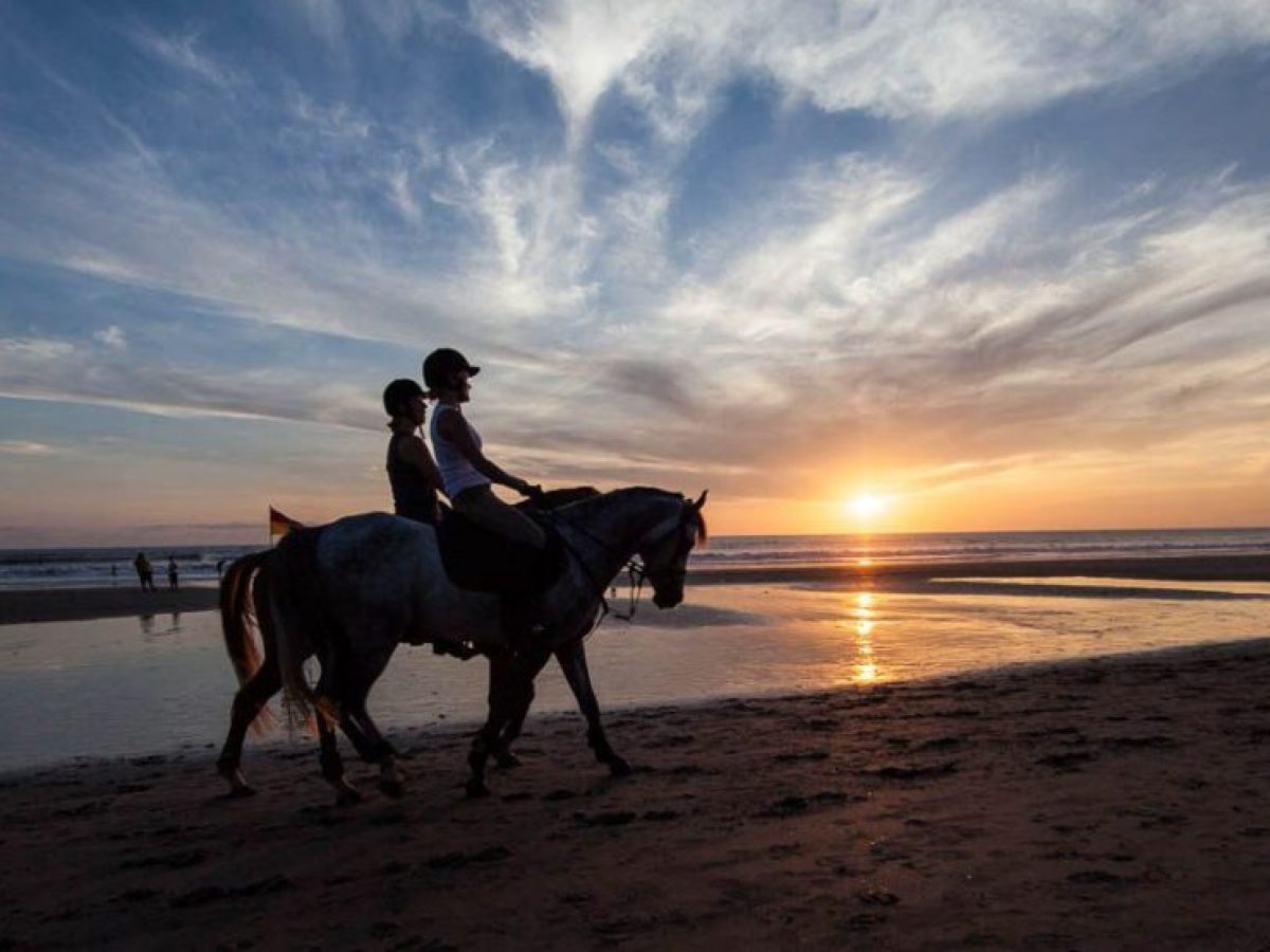 Bali Horse Ridding