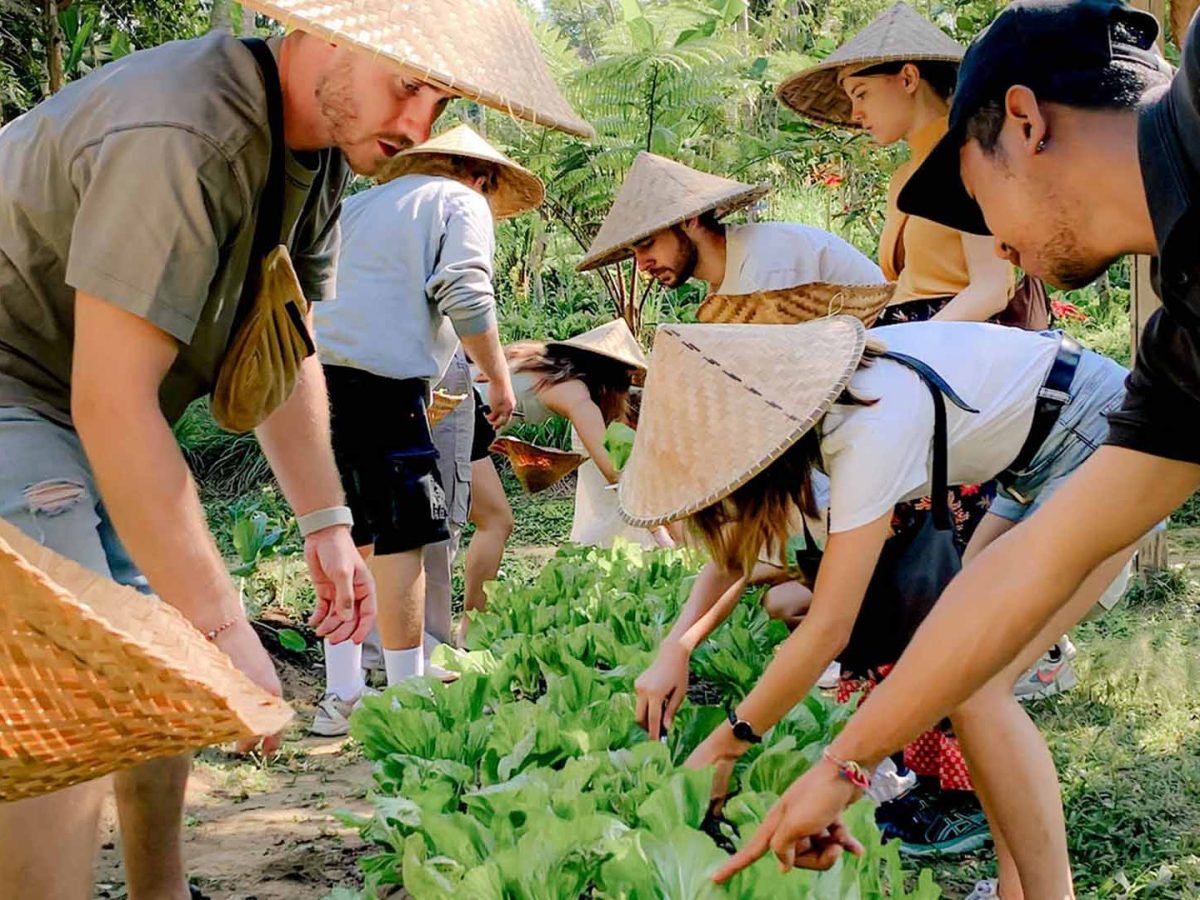Pemulan Cooking class group vegetable harvesting - Luxury Bali Tours and Travel