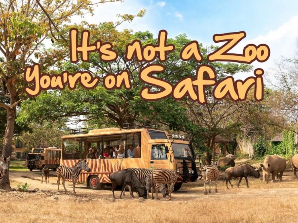 Safari Journey at Bali Safari and Marine Park