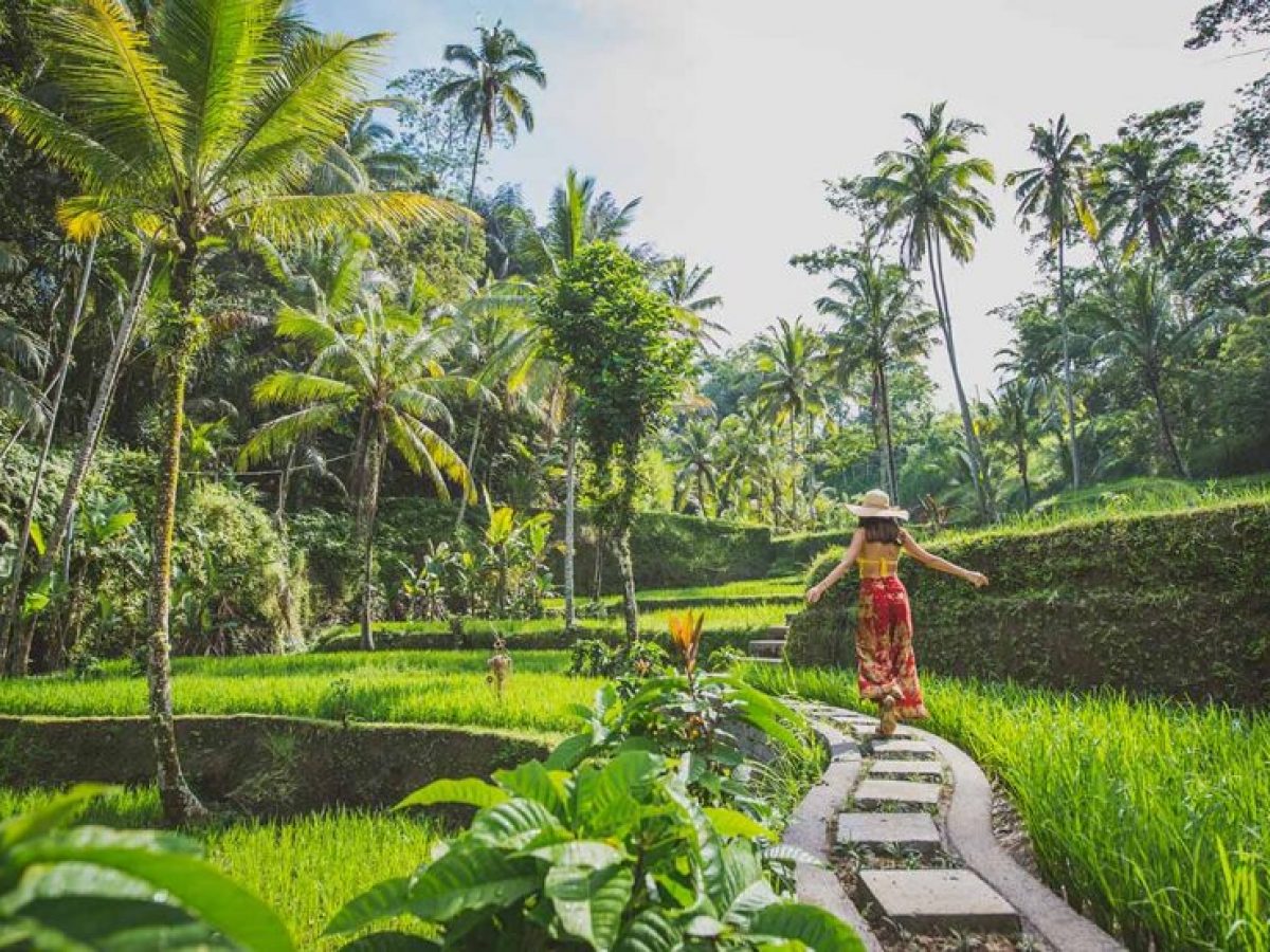 Ubud Explorer – Heart of Bali