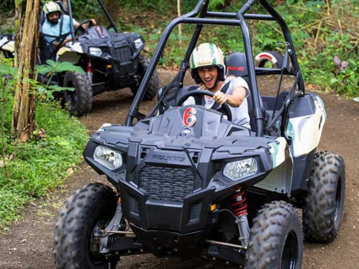 Jungle Buggies by Mason Adventure