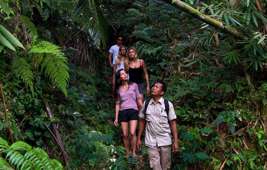 Tropical Trekking by Mason Adventure