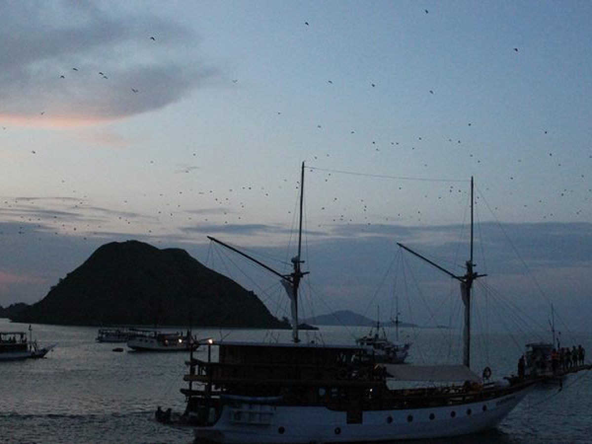 2-Day Komodo Island Tour: Ultimate Phinisi Adventure