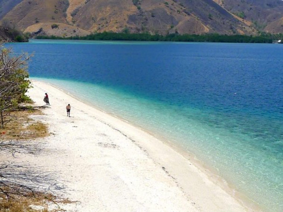 2-Day Komodo Island Tour: Ultimate Phinisi Adventure