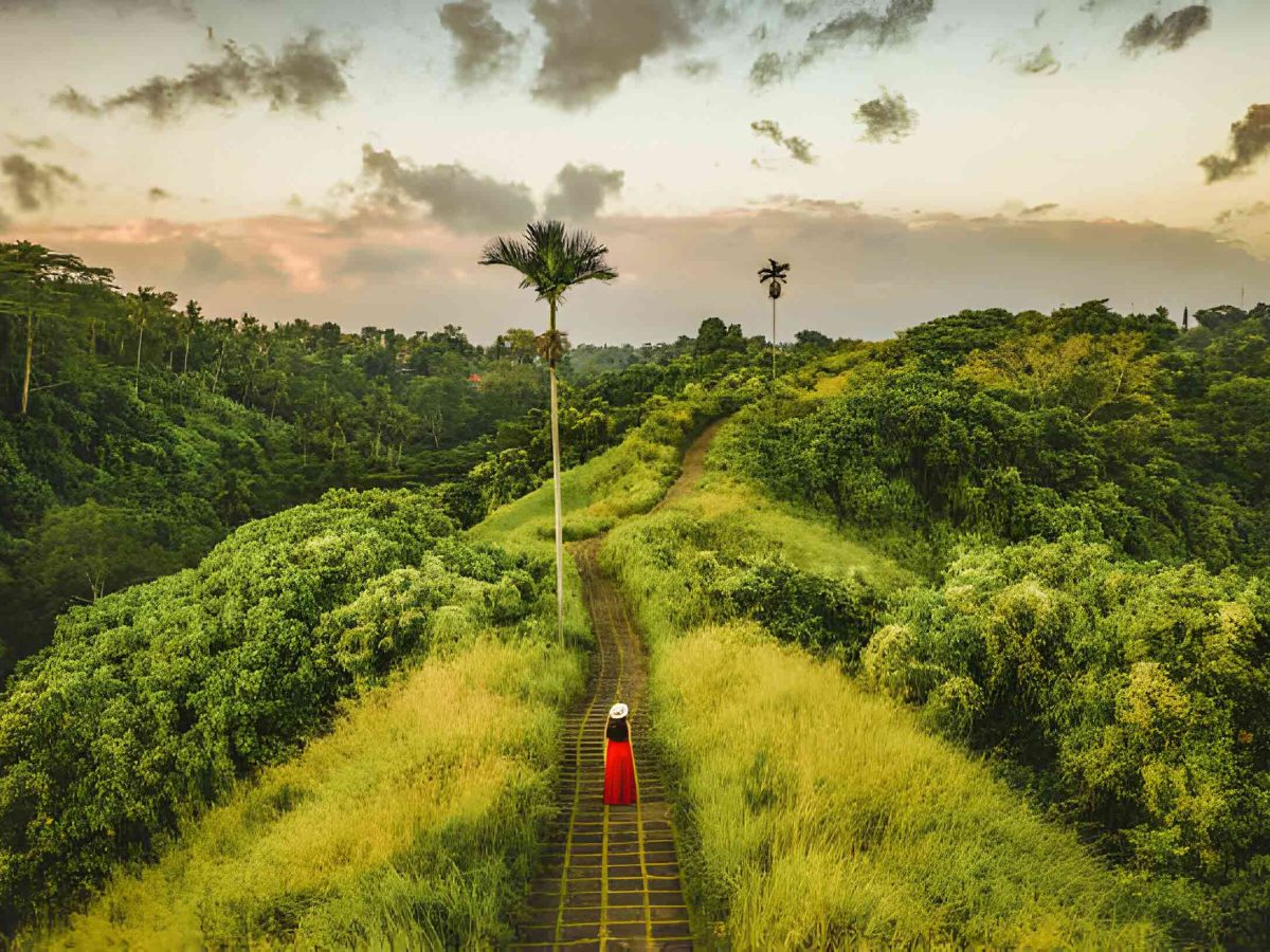 Campuhan Ridge Walk