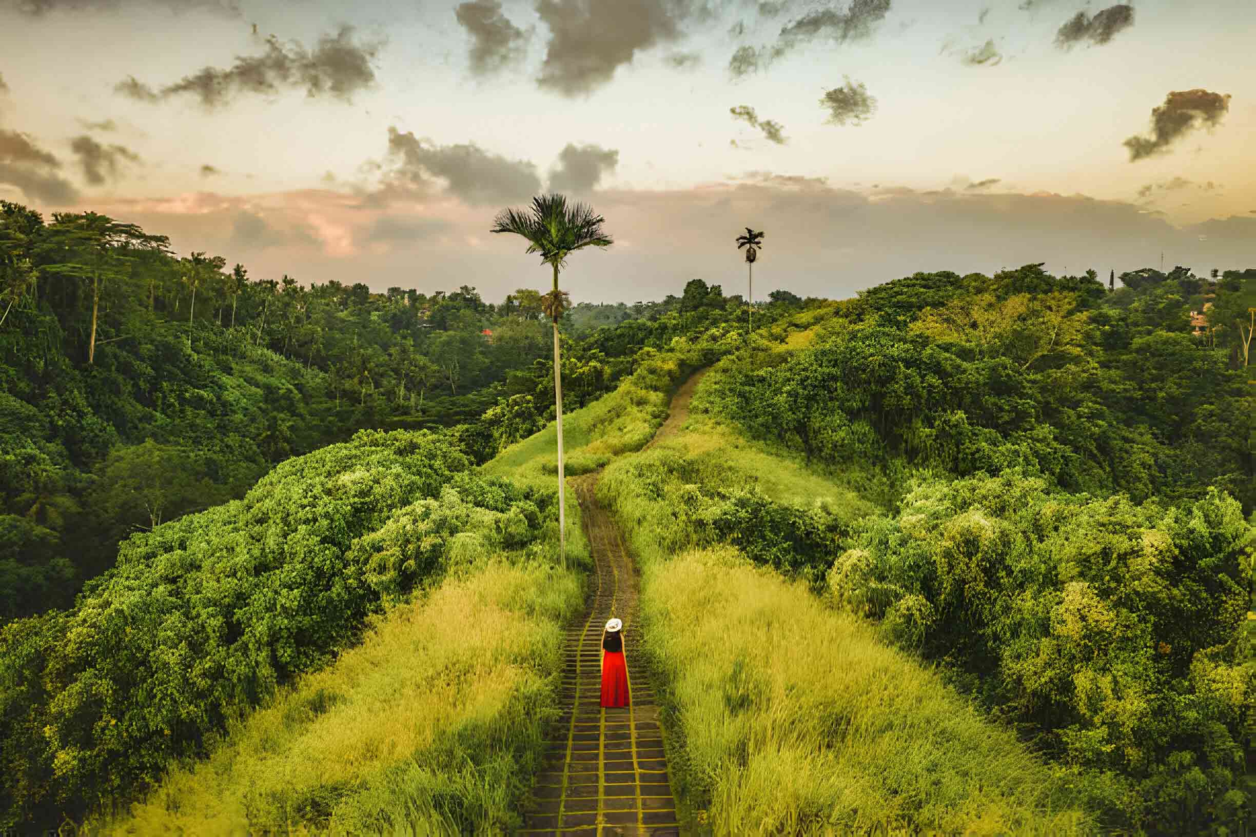 Campuhan Ridge Walk